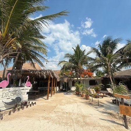 La Diosa Kali Beach Front Hotel Isla Holbox Kültér fotó