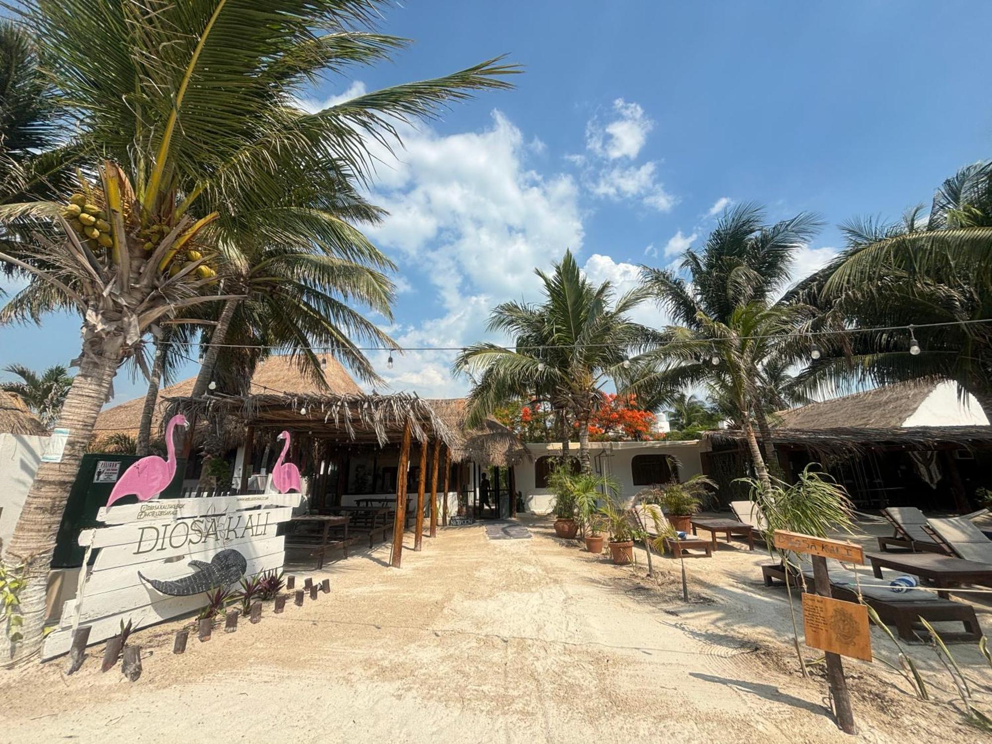 La Diosa Kali Beach Front Hotel Isla Holbox Kültér fotó