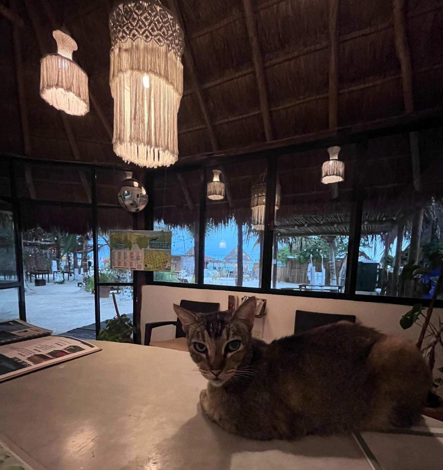 La Diosa Kali Beach Front Hotel Isla Holbox Kültér fotó