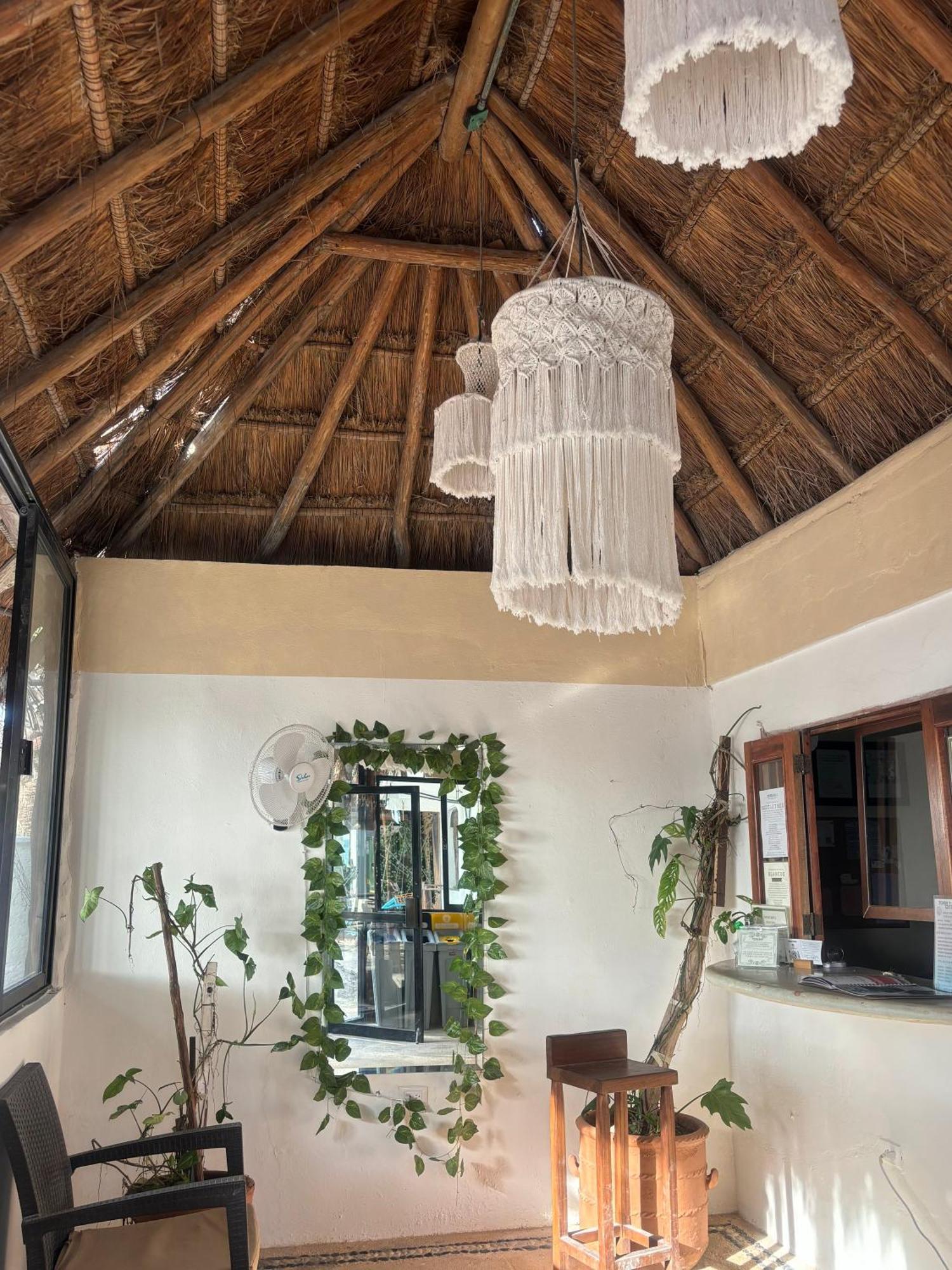 La Diosa Kali Beach Front Hotel Isla Holbox Kültér fotó