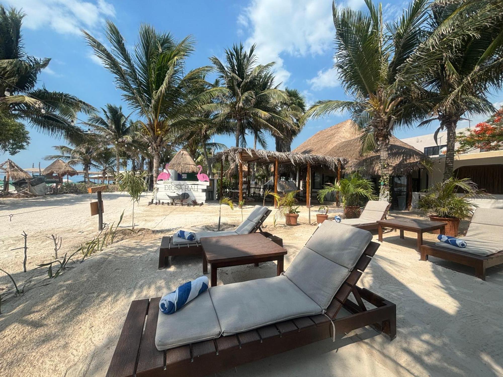 La Diosa Kali Beach Front Hotel Isla Holbox Kültér fotó
